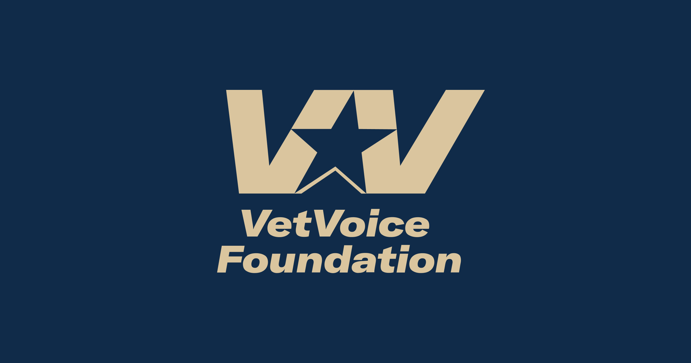 Vet Voice Foundation Inc logo
